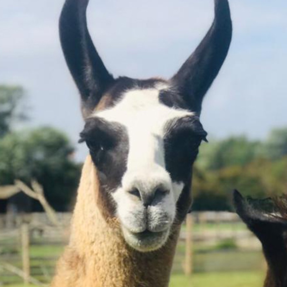 Thank you for visiting my closet!